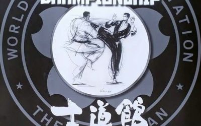 Championnat du Japon Shidokan 2016